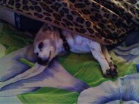 IMAG2106 [Разрешение рабочего стола].jpg