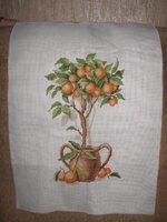 Апельсиновое дерево.jpg