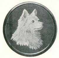 Wiehler 1637 Spitz.jpg