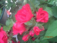 Изображение 120.jpg