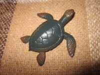 Изображение 31830.jpg