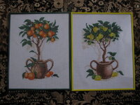 Виктория пара.jpg