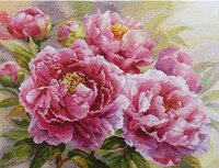 Алиса Пионы 2-35.jpg