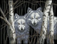 белые волки.jpg