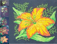 Новый рисунок.jpg