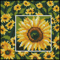 Vervaco 1200-767.jpg