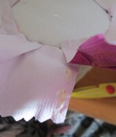 мастер класс (28).jpg