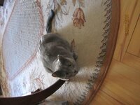 2018-01-25 11-36-53.jpg