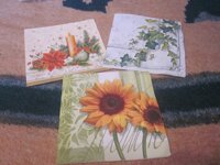 Изображение 2977.jpg