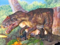 Изображение 020.jpg