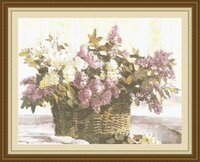 Сирень CCS.jpg