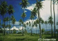 341 Tropical Island.jpg