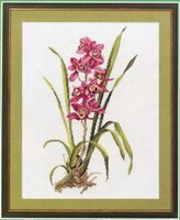 14-155 Eva Rosenstand.jpg