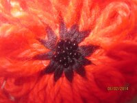 Изображение 845.jpg