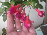 Изображение 299.jpg