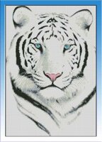 52323029_white_tiger.jpg