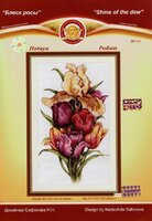 БР-011 Подиум.jpg