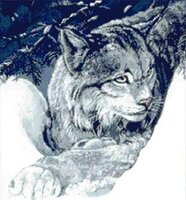 KK-MBW-005. Рысь. Lynx.jpg