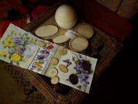 2014-12-08 11-17-00.jpg