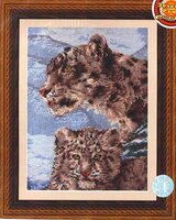 ДЖ-001 Снежные барсы.jpg