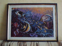 Морское дно.JPG