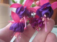 Изображение 468.jpg