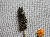 2014-05-28 09-13-26.jpg