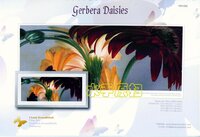 he-006 gerbera daisies.jpg