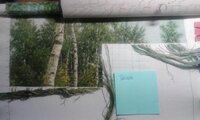 20161002_132117[1].jpg