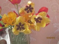 Изображение 2618.jpg