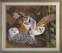 ДЖ-021 Совиный взгляд.jpg