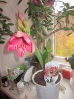 Изображение 1678.jpg