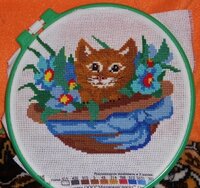 DSCN1105 (640x480).jpg