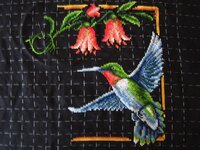 01 колибри.jpg