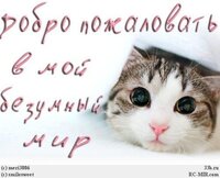 Добро пожаловать.jpg