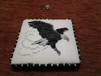 20130917_203945 (640x480).jpg