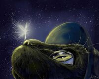 i believe in fairies.JPG