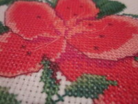 Изображение 32912.jpg