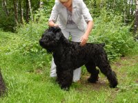 2015-07-11 10-57-52.jpg