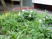 2016-06-14 13-32-48.jpg