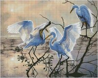 рассвет мал.jpg