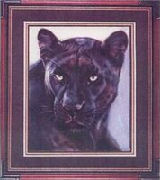 KK JW-001 Black Leopard.jpg