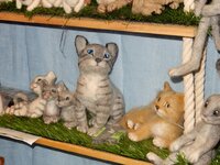 2015-10-22 14-34-32.jpg