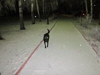 Изображение 2135.jpg