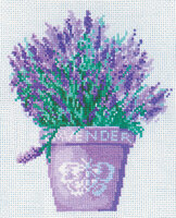 Лаванда РТО.jpg