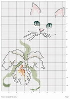 LA Cat Blue Eyes & Orchid.jpg