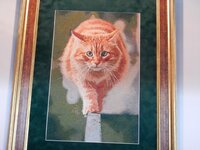 2015-09-25 11-45-44.jpg