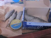 Изображение 552.jpg