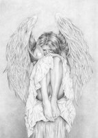 HAEZIN 227 Please My Wings Take Me Away.jpg