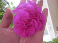 Изображение 1541.jpg